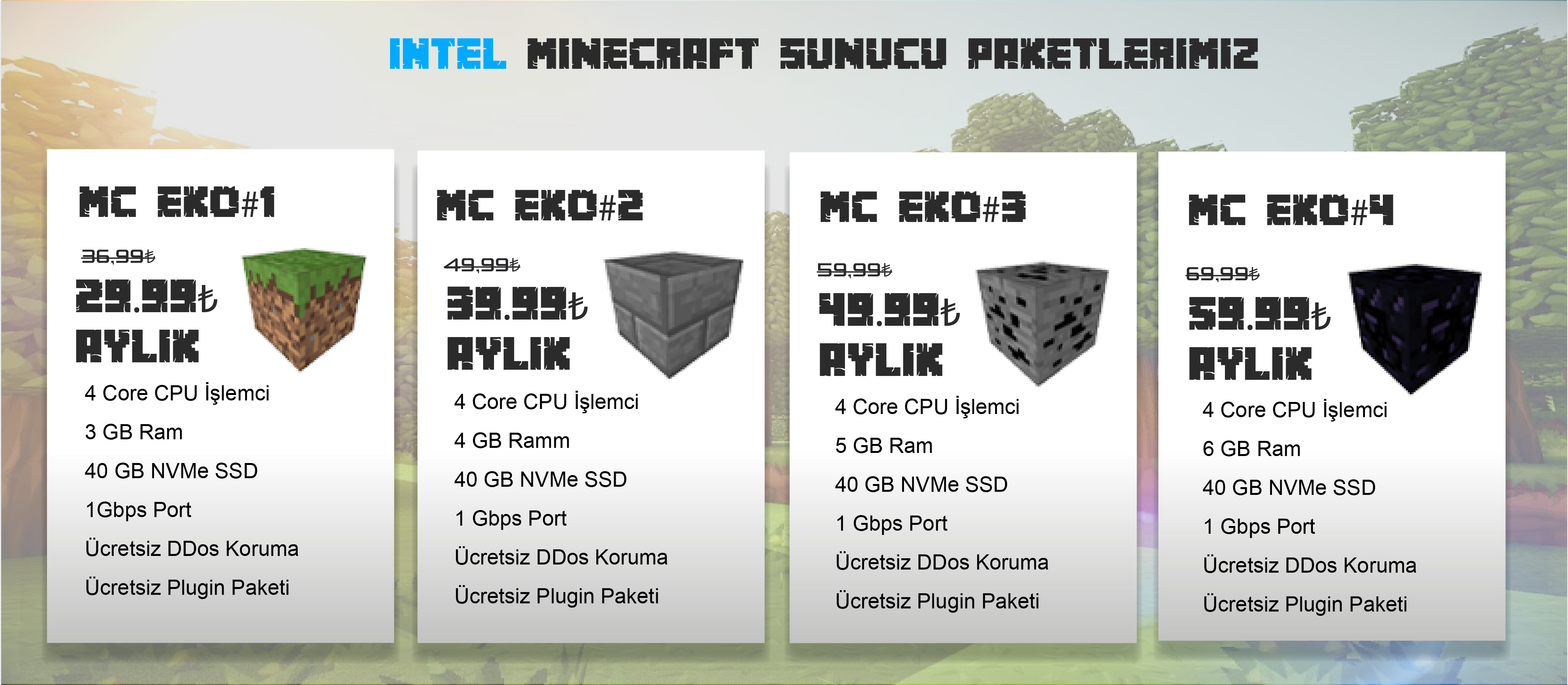 Minecraft Sunucu